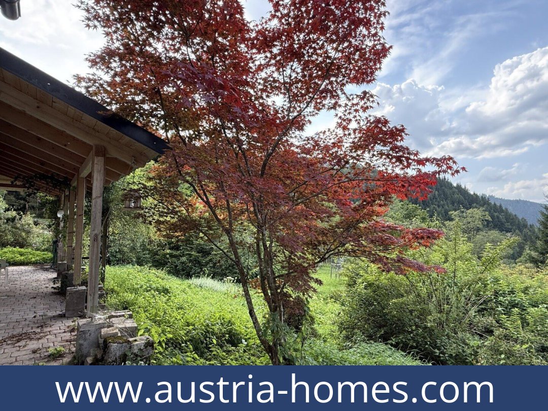 austria-homes-admont-8911-20251027041838-0039611030.jpg