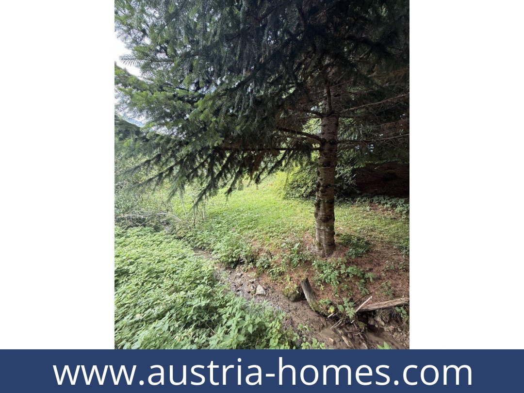 austria-homes-admont-8911-20251027041838-0039611034.jpg
