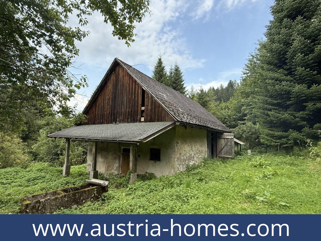 austria-homes-admont-8911-20251027041838-0039611035.jpg