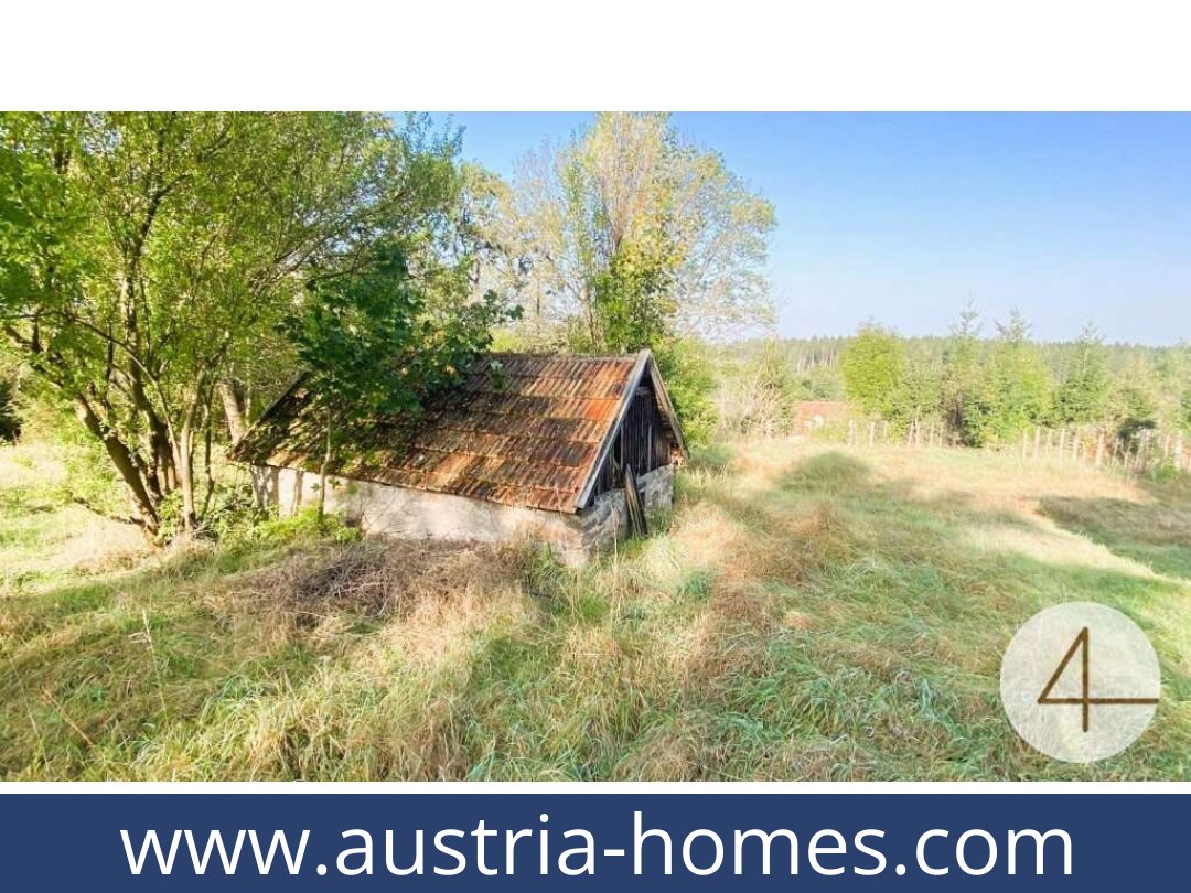 austria-homes-alt-nagelberg-3871-20261021045744-72e81a1f-0066301005.jpg