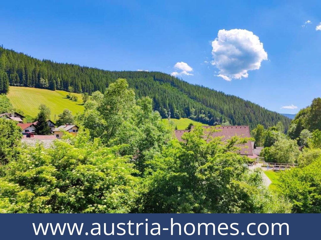 austria-homes-altenberg-8691-20251204054758-0050401010.jpg