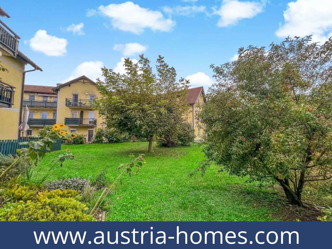 austria-homes-amstetten-3300-20250921061737-0026401023.jpg