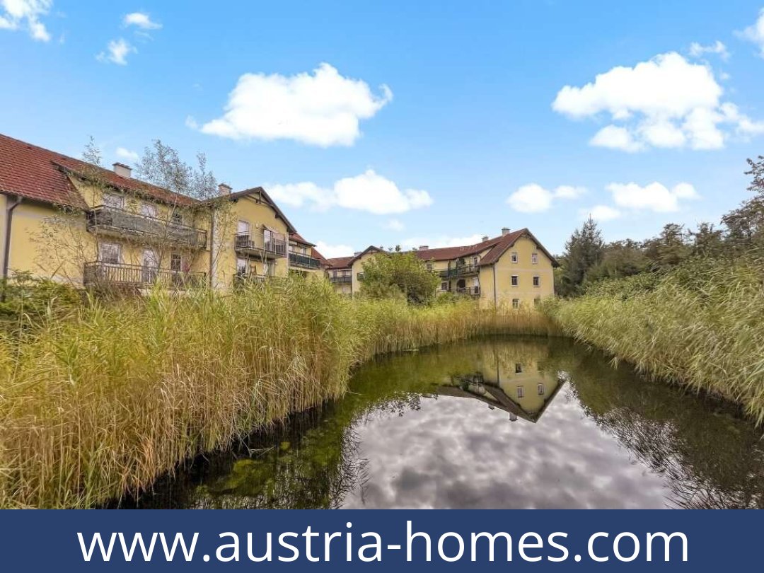 austria-homes-amstetten-3300-20250921061737-0026401026.jpg