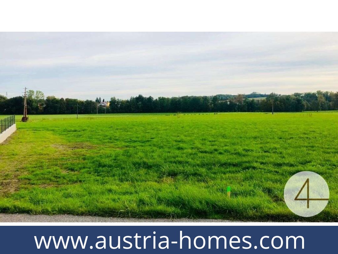 austria-homes-andorf-4770-20250919121741-0014501003.jpg