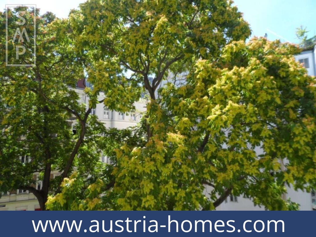 austria-homes-becs-1020-20251213234741-0053801012.jpg
