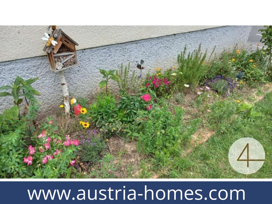 austria-homes-becs-1100-20250919044724-0012101012.jpg