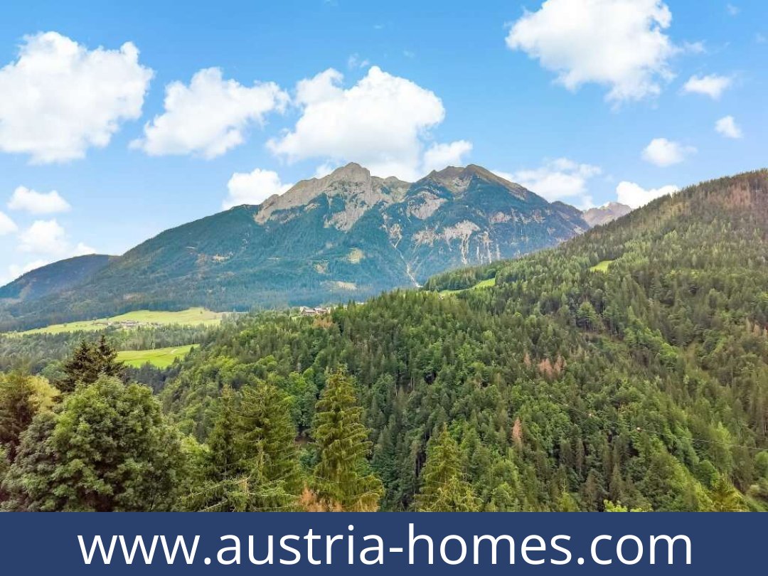 austria-homes-birnbaum-9652-20250918224748-0010001039.jpg