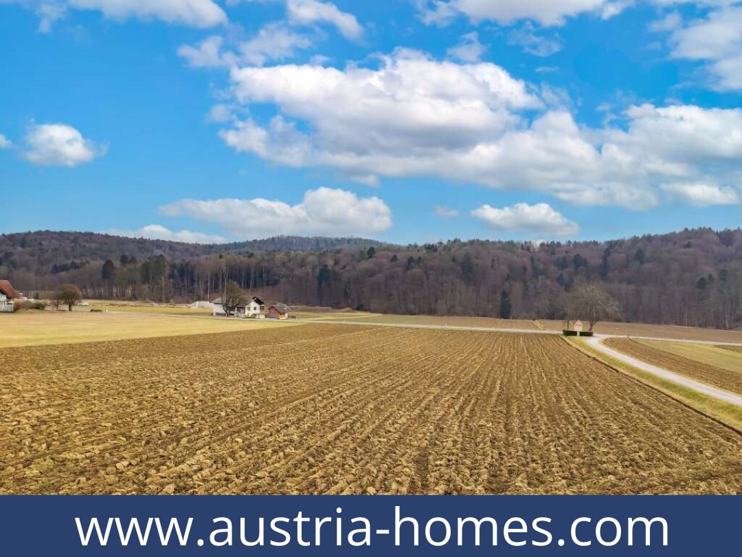 austria-homes-feldbach-8330-20250920231754-0025001020.jpg
