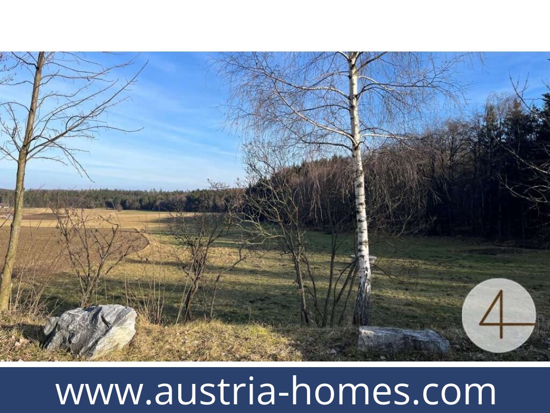 austria-homes-gfoll-3542-20250918181751-0007501010.jpg
