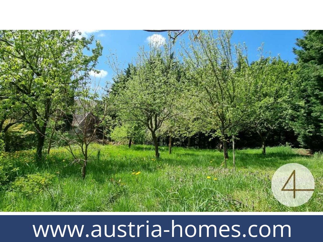 austria-homes-gopfritzschlag-3822-20250921111744-0028101003.jpg