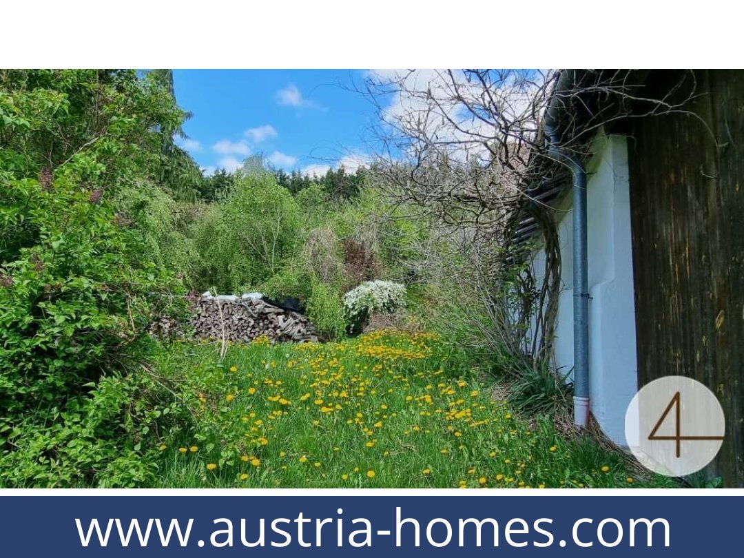 austria-homes-gopfritzschlag-3822-20250921111744-0028101029.jpg