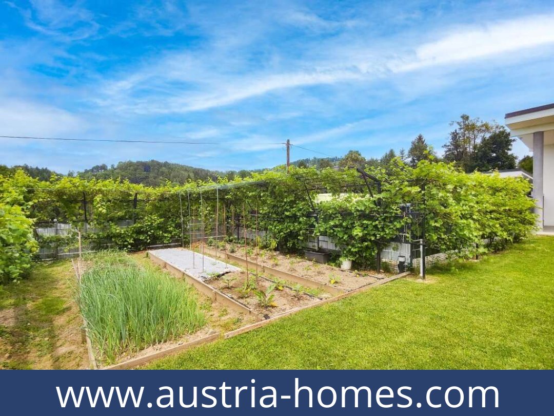 austria-homes-gratkorn-8101-20250921024745-0025801029.jpg