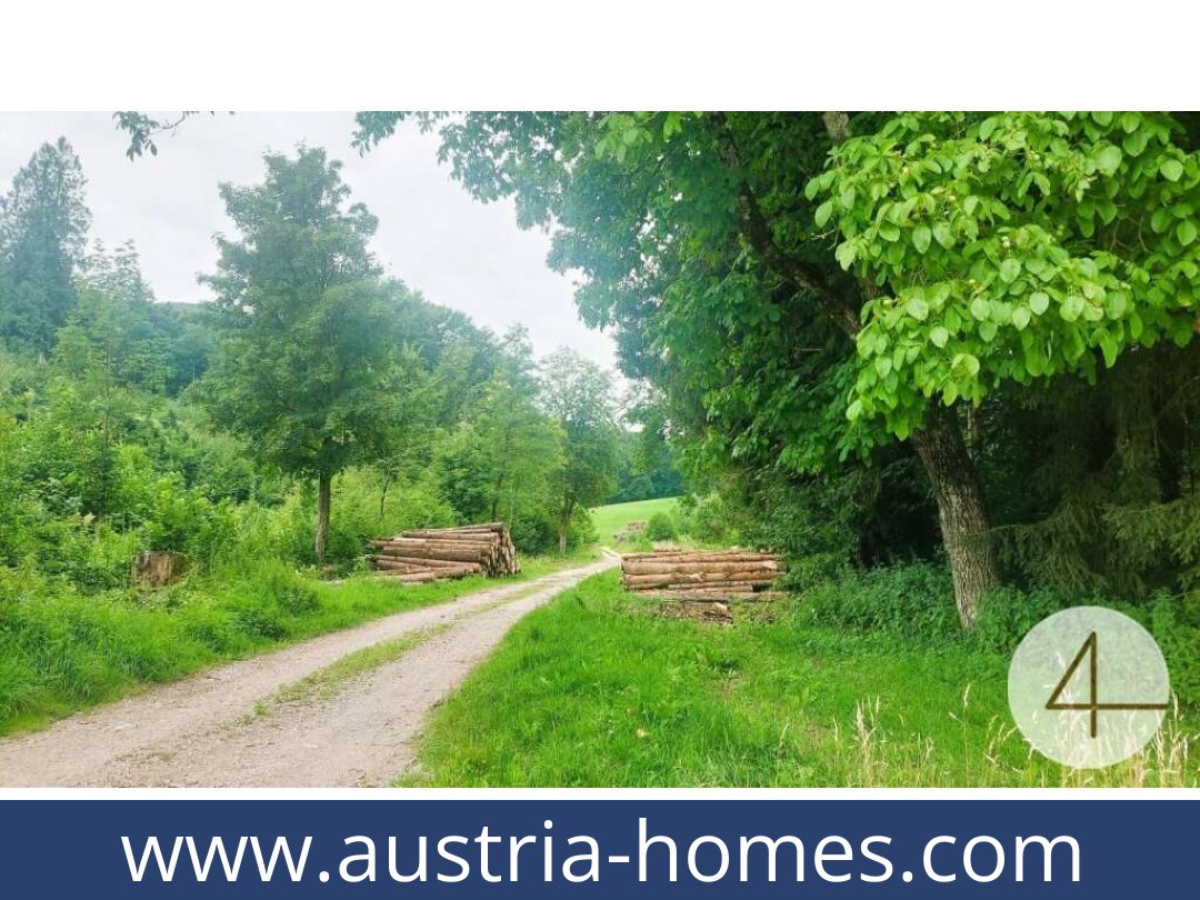 austria-homes-gresten-3264-20250921201737-0030501003.jpg