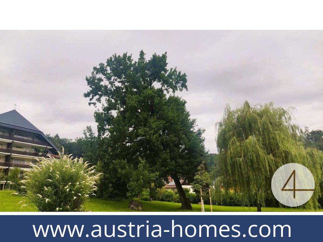 austria-homes-gresten-3264-20250921201737-0030501006.jpg