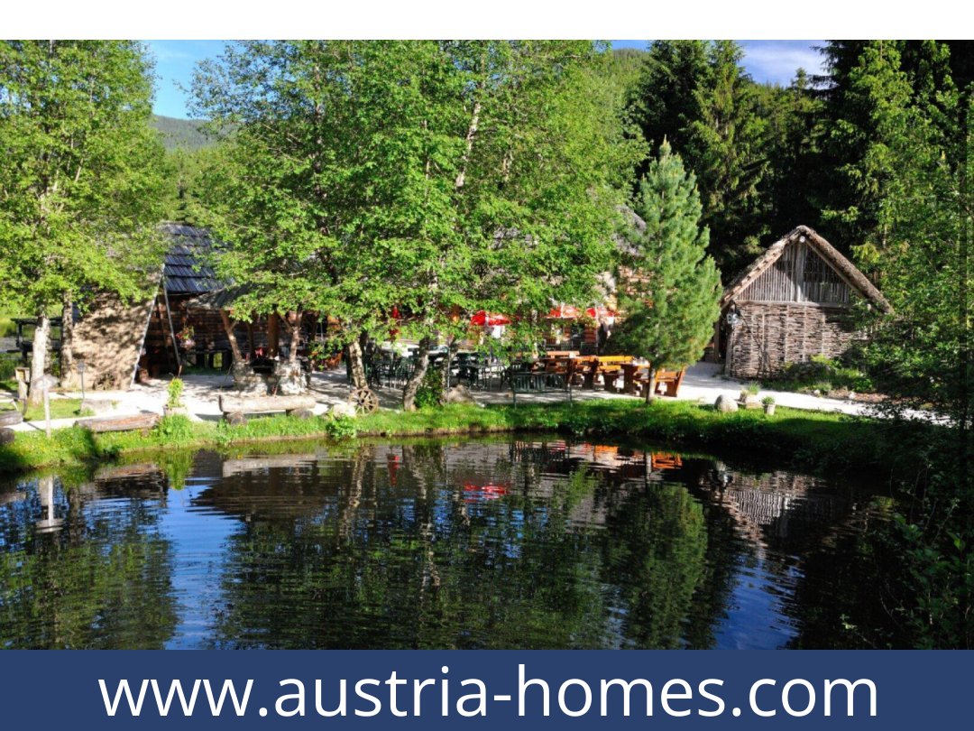austria-homes-hohentauern-8785-20260118021740-0057011008.jpg