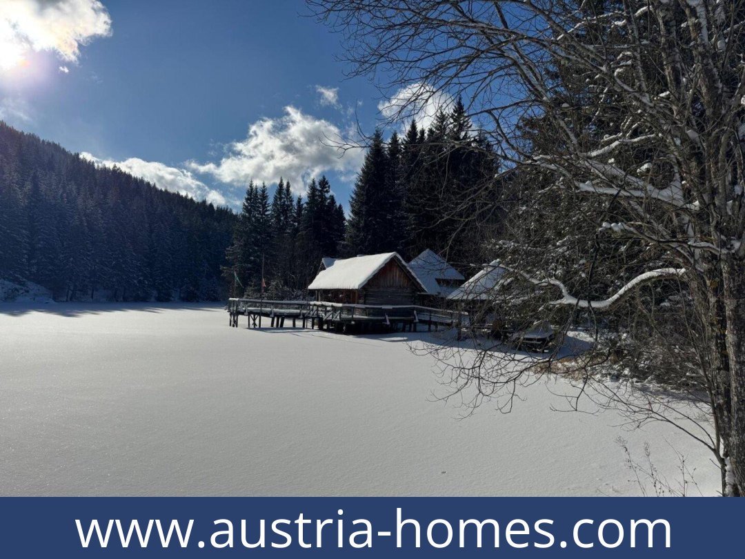 austria-homes-hohentauern-8785-20260118021740-0057011009.jpg