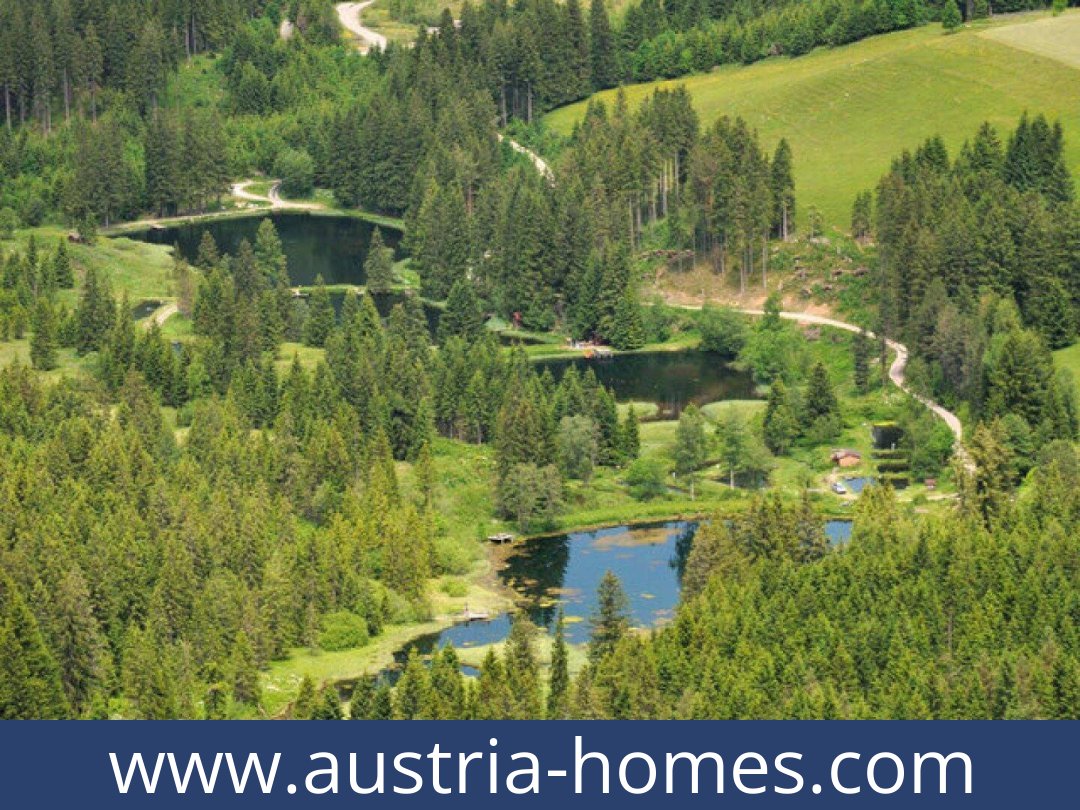 austria-homes-hohentauern-8785-20260118021740-0057011011.jpg