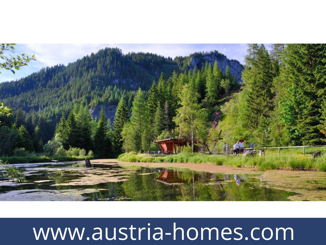 austria-homes-hohentauern-8785-20260118021740-0057011012.jpg