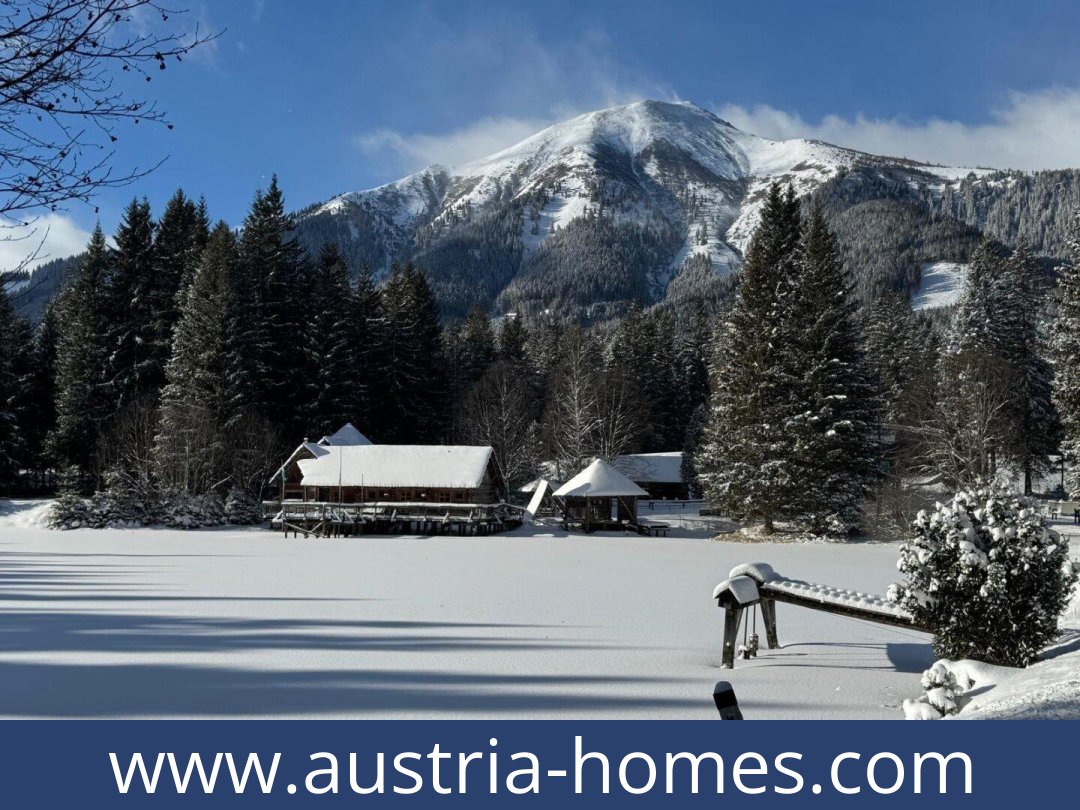 austria-homes-hohentauern-8785-20260118021740-0057011017.jpg