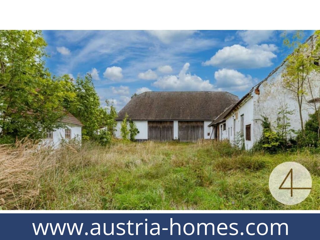 austria-homes-horn-3580-20250921081727-0027301002.jpg