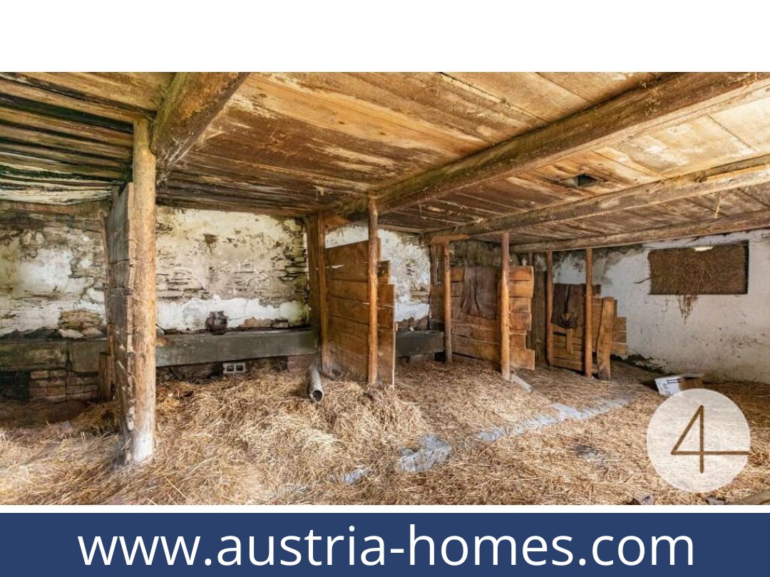 austria-homes-horn-3580-20250921081727-0027301004.jpg