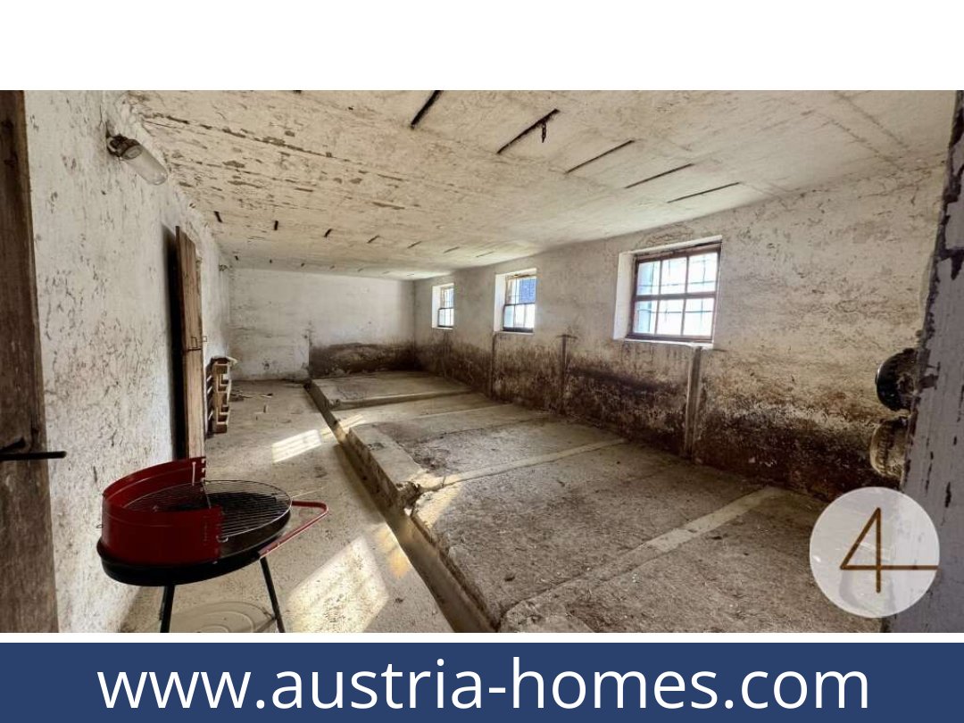 austria-homes-japons-3763-20261021054350-cb7a8696-0042501004.jpg
