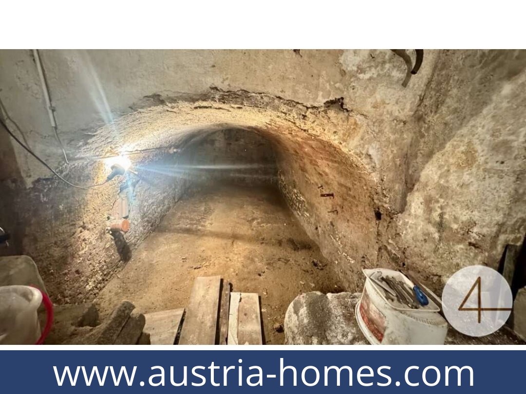 austria-homes-japons-3763-20261021054350-cb7a8696-0042501005.jpg