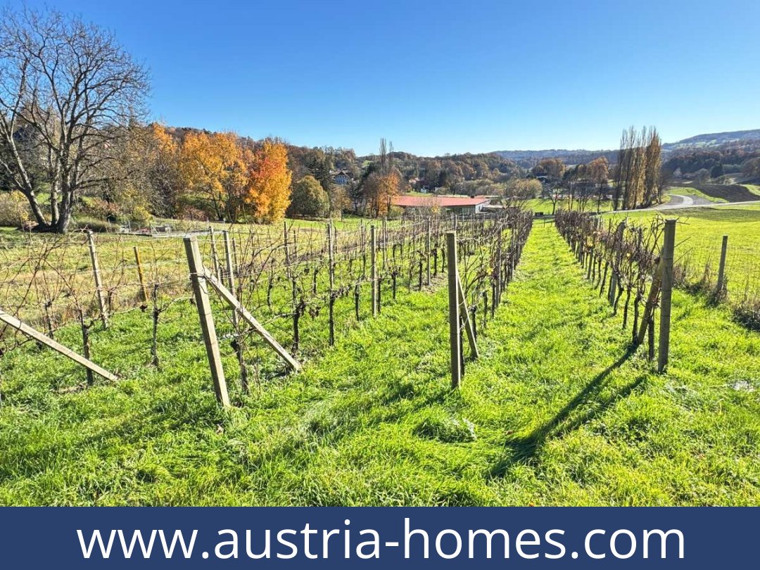 austria-homes-kapfenstein-8353-20261021053635-334d6110-0046301023.jpg