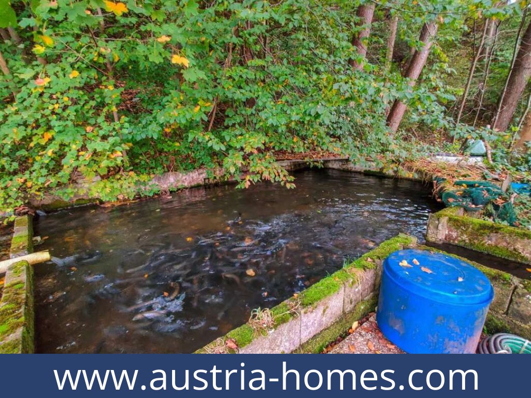 austria-homes-lambach-4650-20250921004737-0025301022.jpg