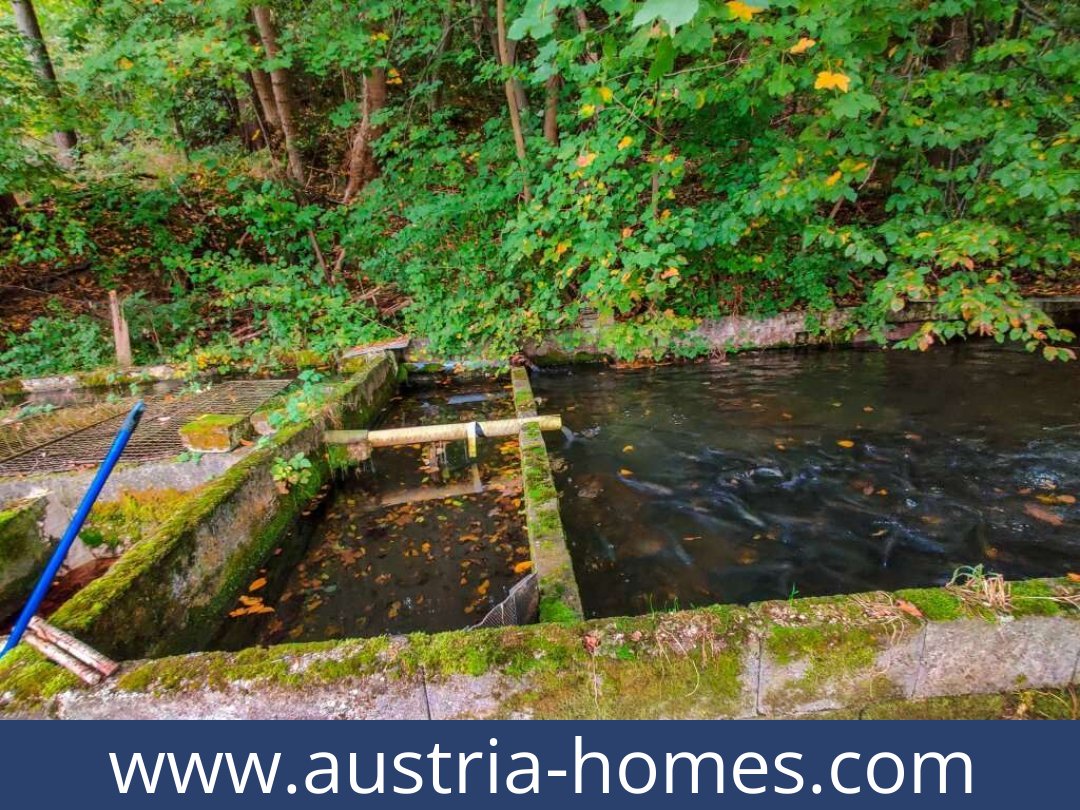 austria-homes-lambach-4650-20250921004737-0025301023.jpg