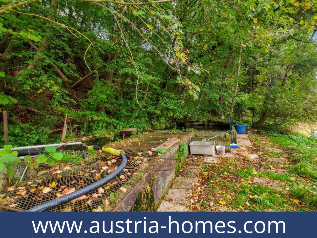 austria-homes-lambach-4650-20250921004737-0025301024.jpg
