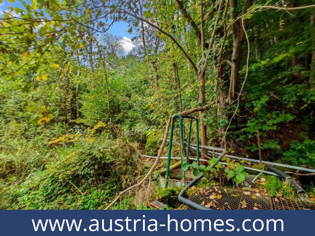 austria-homes-lambach-4650-20250921004737-0025301025.jpg