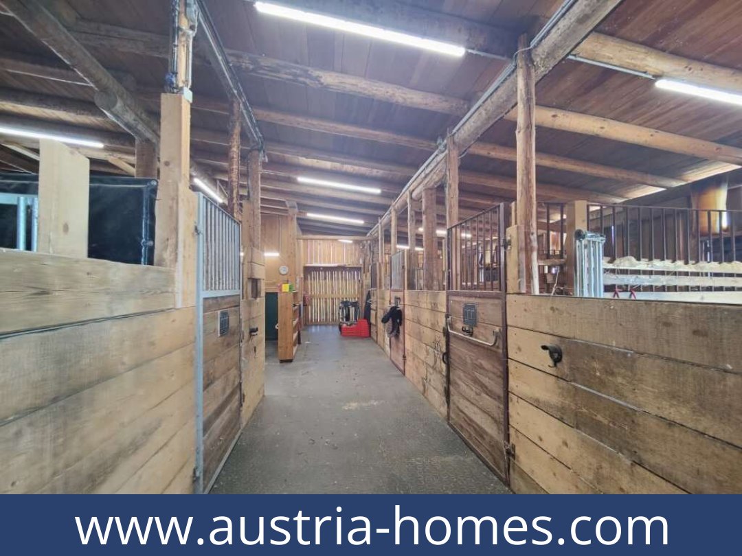 austria-homes-lambach-8323-20261021051704-59fe18af-0057401017.jpg