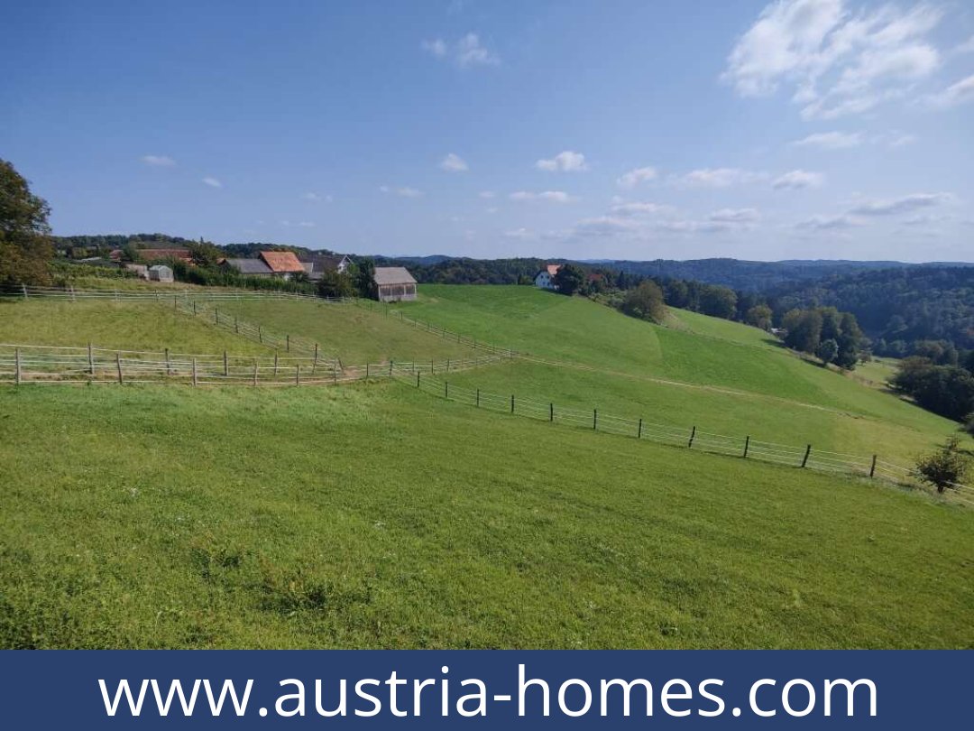 austria-homes-lambach-8323-20261021051704-59fe18af-0057401024.jpg