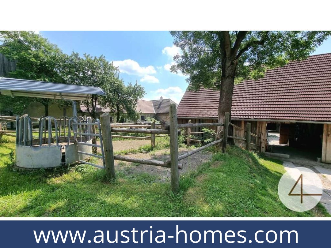 austria-homes-lichtenberg-3841-20250919034750-0011701002.jpg
