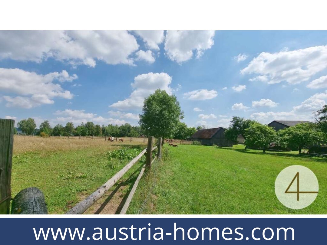 austria-homes-lichtenberg-3841-20250919034750-0011701007.jpg