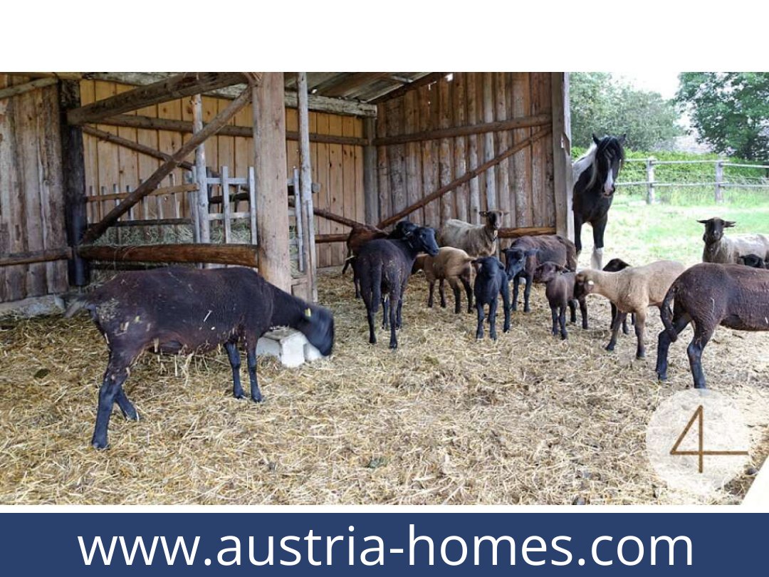 austria-homes-lichtenberg-3841-20250919034750-0011701008.jpg