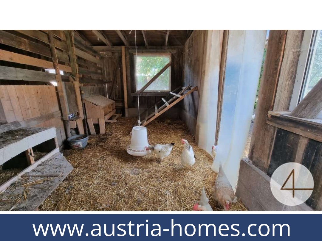 austria-homes-lichtenberg-3841-20250919034750-0011701009.jpg