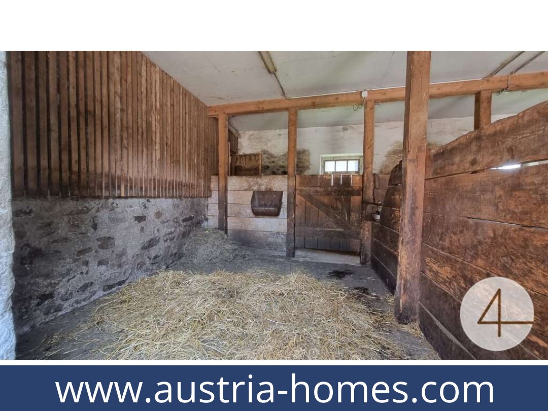 austria-homes-lichtenberg-3841-20250919034750-0011701027.jpg