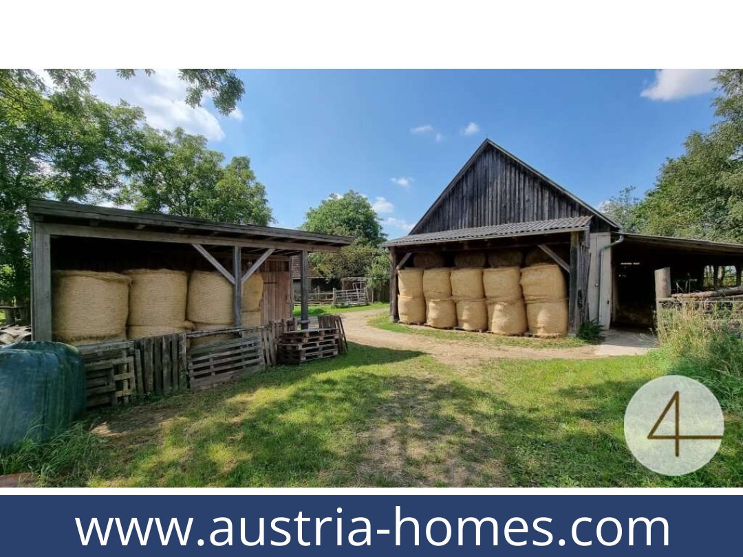 austria-homes-lichtenberg-3841-20250919034750-0011701029.jpg
