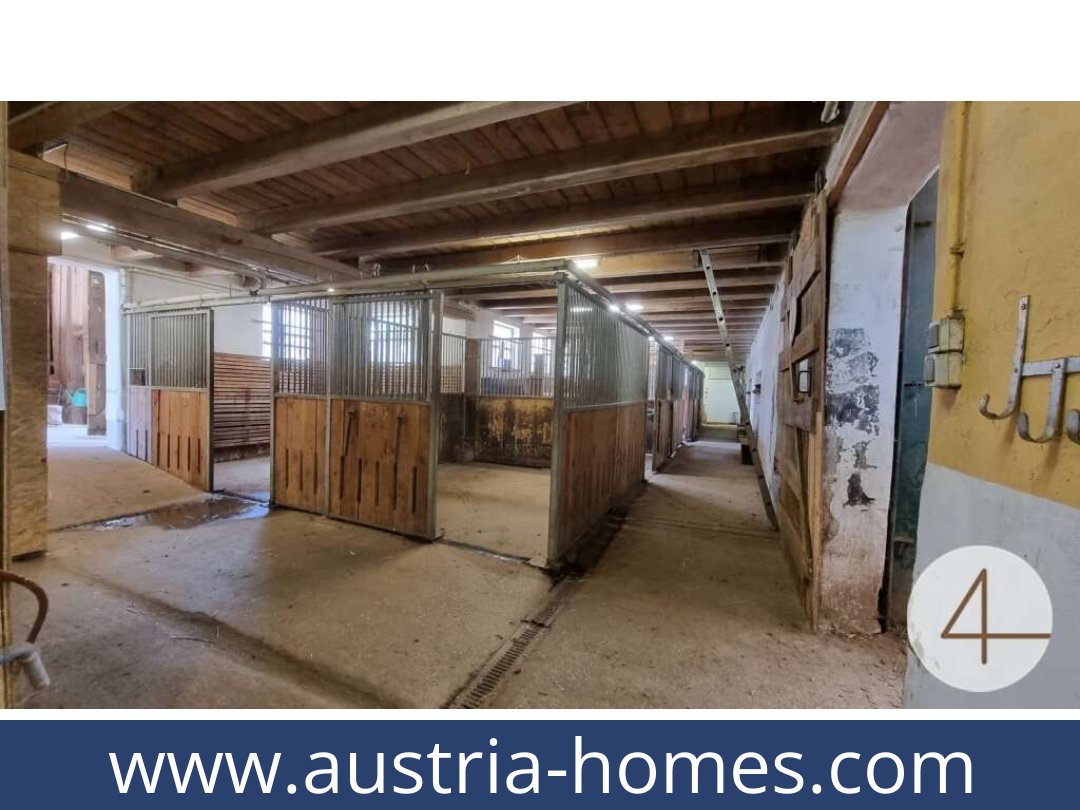 austria-homes-lichtenberg-3841-20250919034750-0011701031.jpg