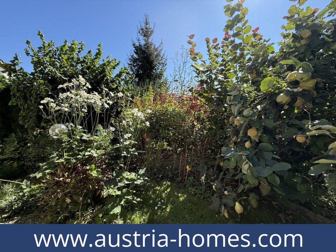 austria-homes-liezen-8940-20251026001843-0038411030.jpg austria-homes-liezen-8940-20251026001843-0038411030.jpg