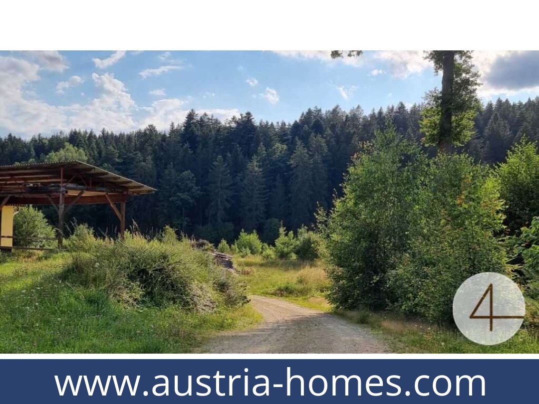 austria-homes-litschau-3874-20261021054245-585fe202-0043401001.jpg austria-homes-litschau-3874-20261021054245-585fe202-0043401001.jpg