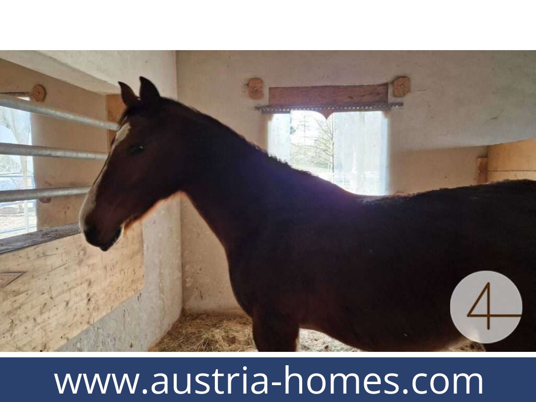 austria-homes-mank-3240-20260118204829-0059401009.jpg