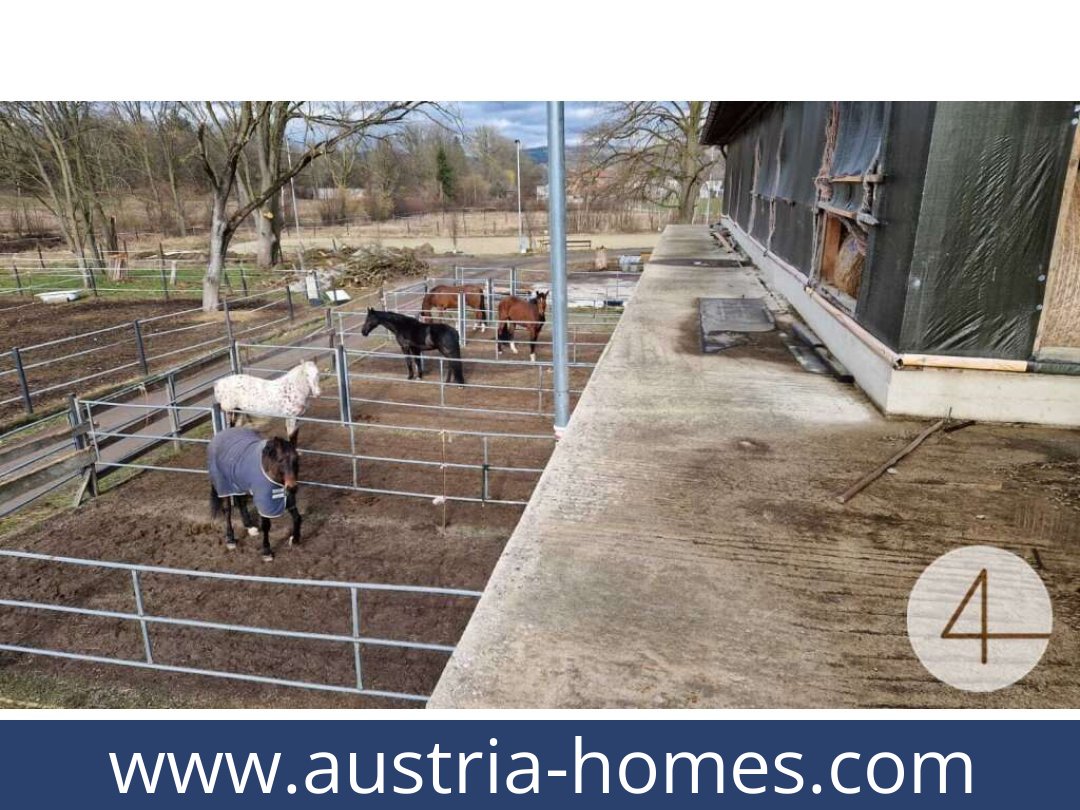 austria-homes-mank-3240-20260118204829-0059401028.jpg