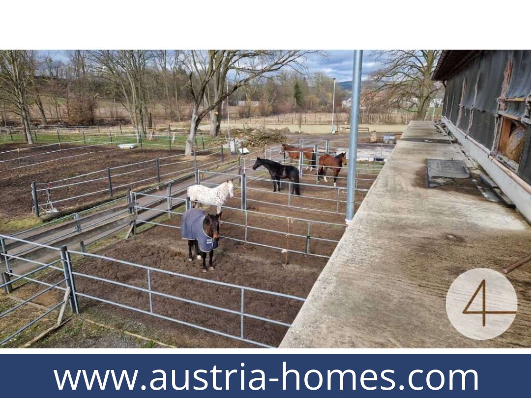austria-homes-mank-3240-20260118204829-0059401031.jpg