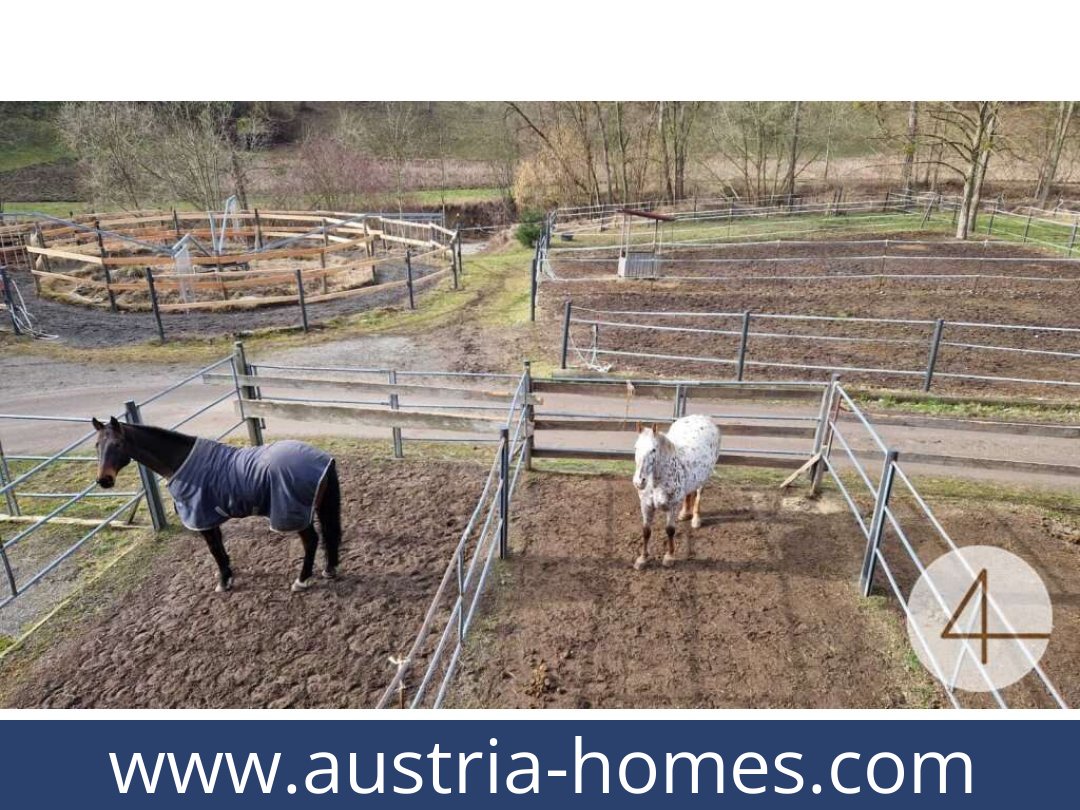 austria-homes-mank-3240-20260118204829-0059401034.jpg