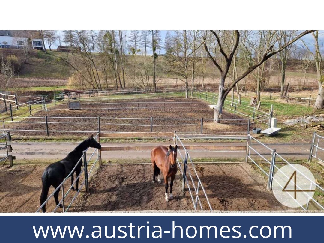 austria-homes-mank-3240-20260118204829-0059401037.jpg