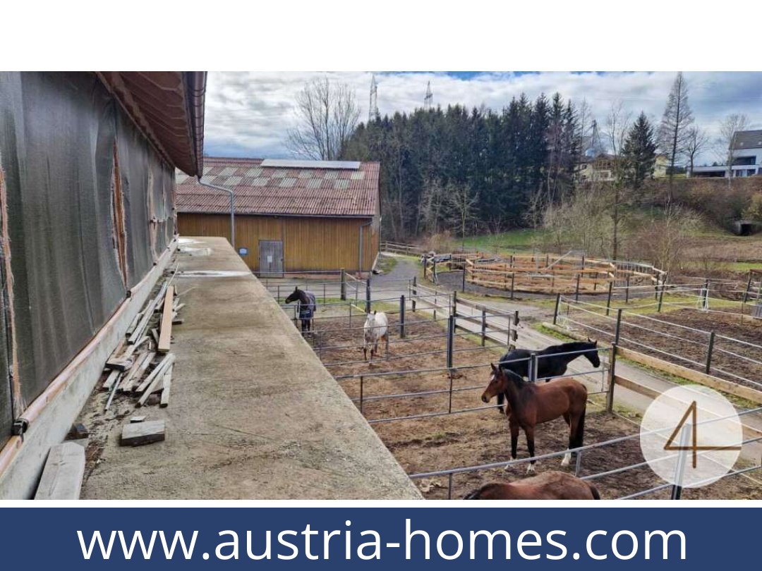 austria-homes-mank-3240-20260118204829-0059401040.jpg