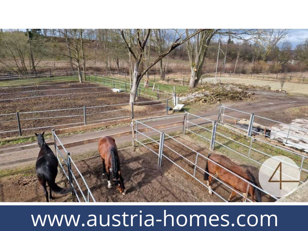 austria-homes-mank-3240-20260118204829-0059401043.jpg